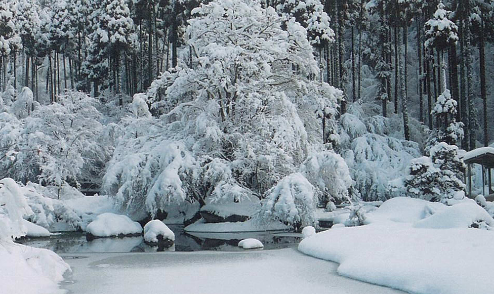 冬の景色②