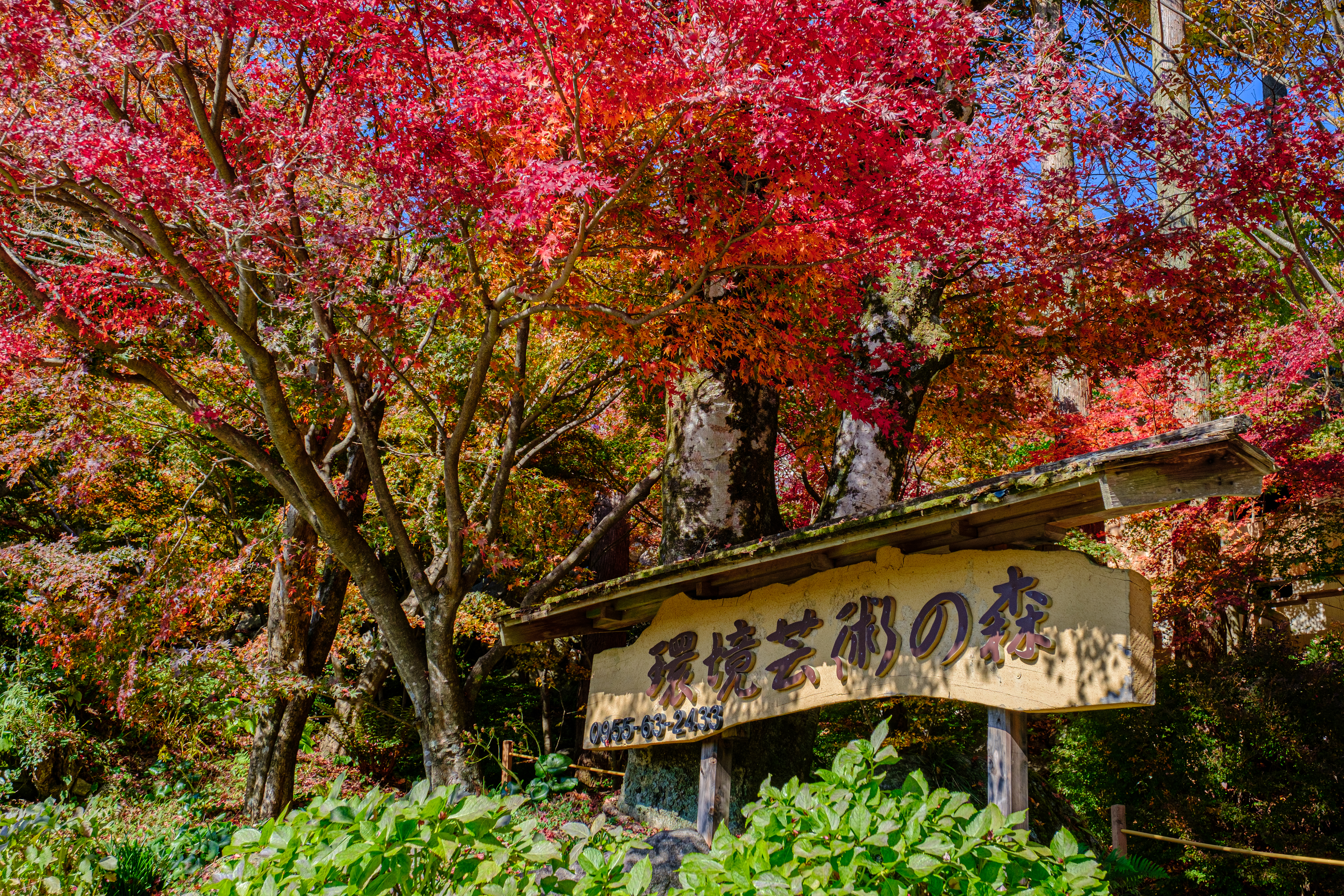 入口看板