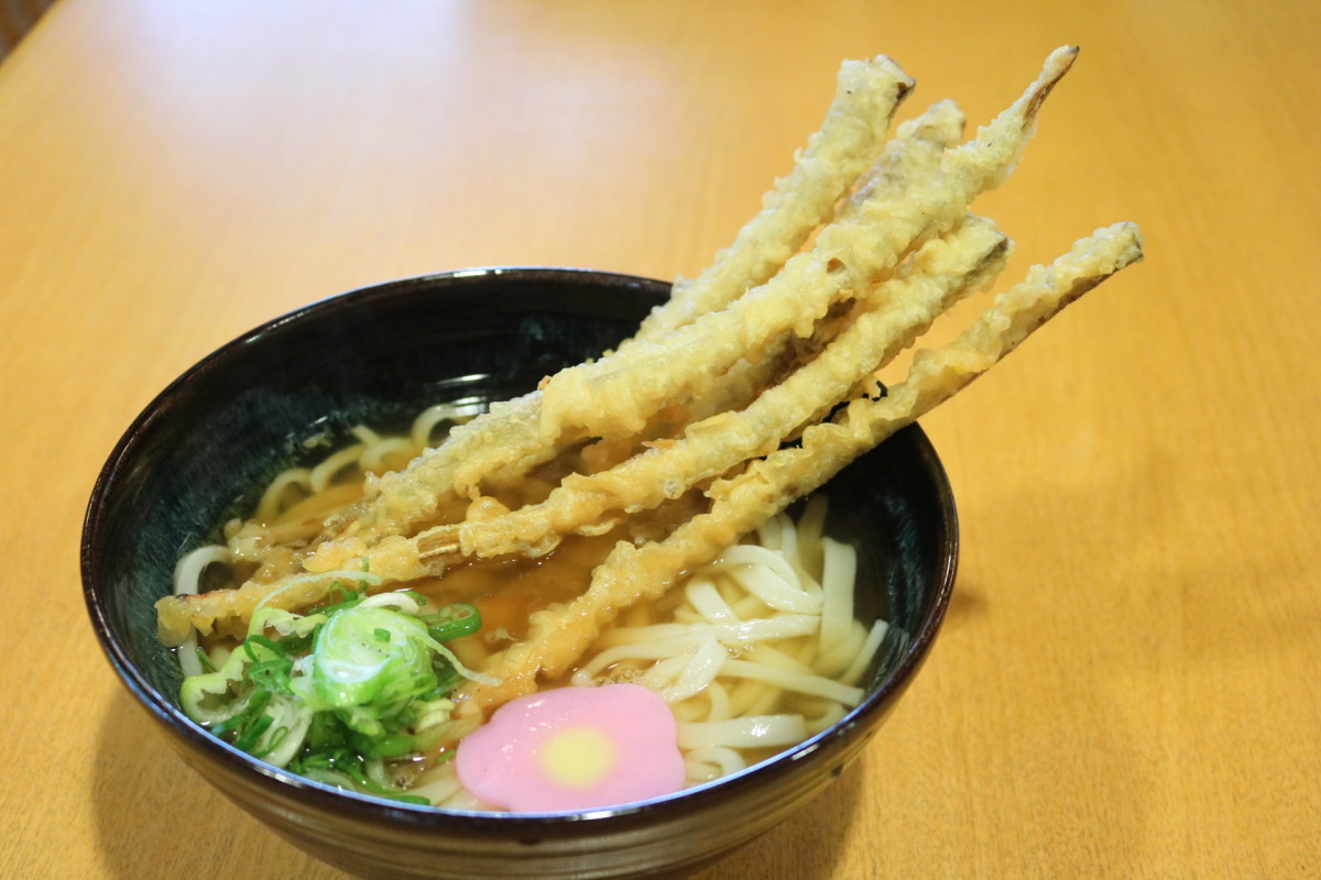 ごぼう天うどん。長いごぼうはボリューム満点！