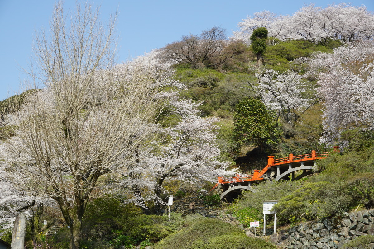 外苑東山つつじ園・花園