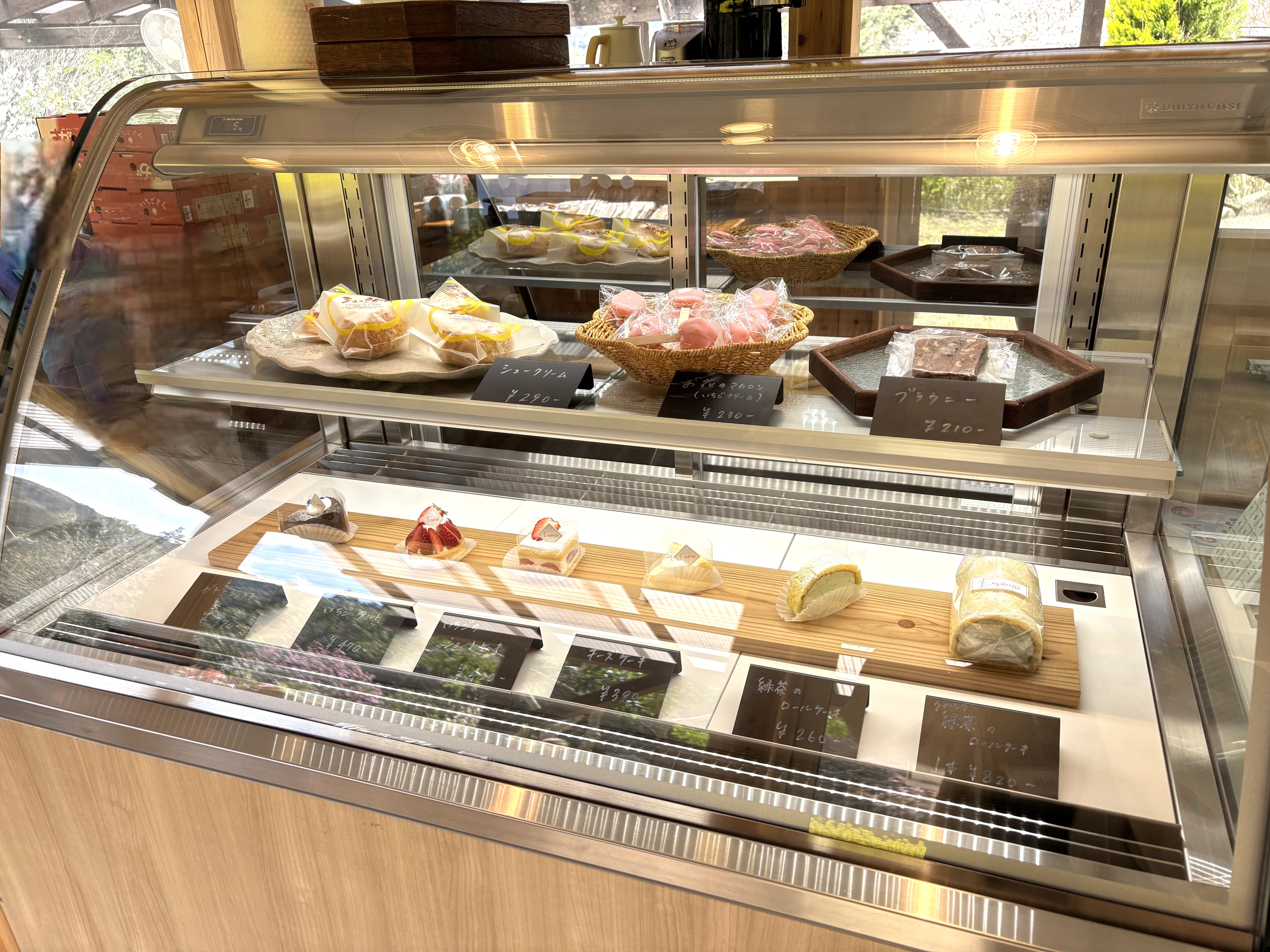 ショーケース