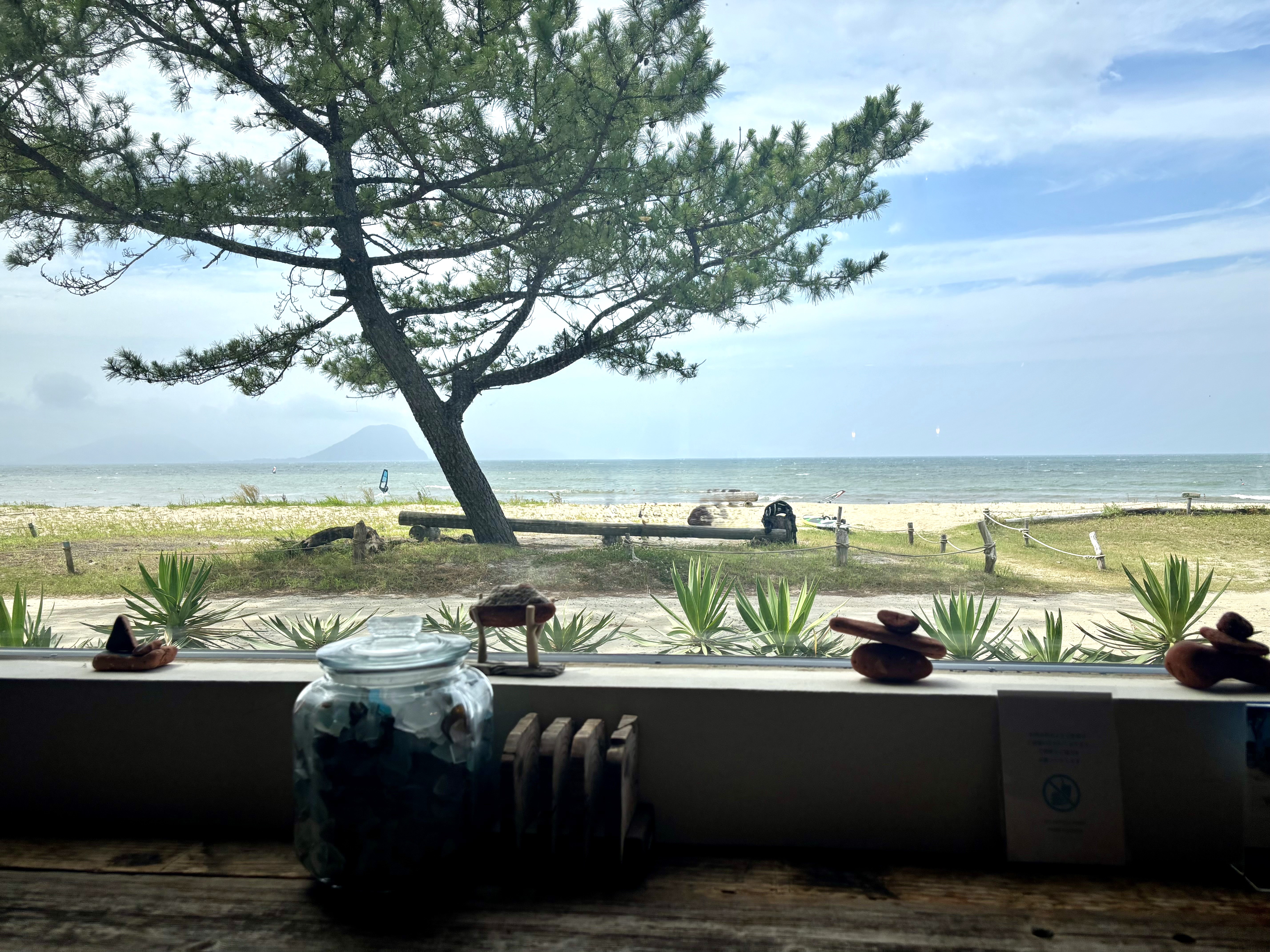 窓から見える松と海