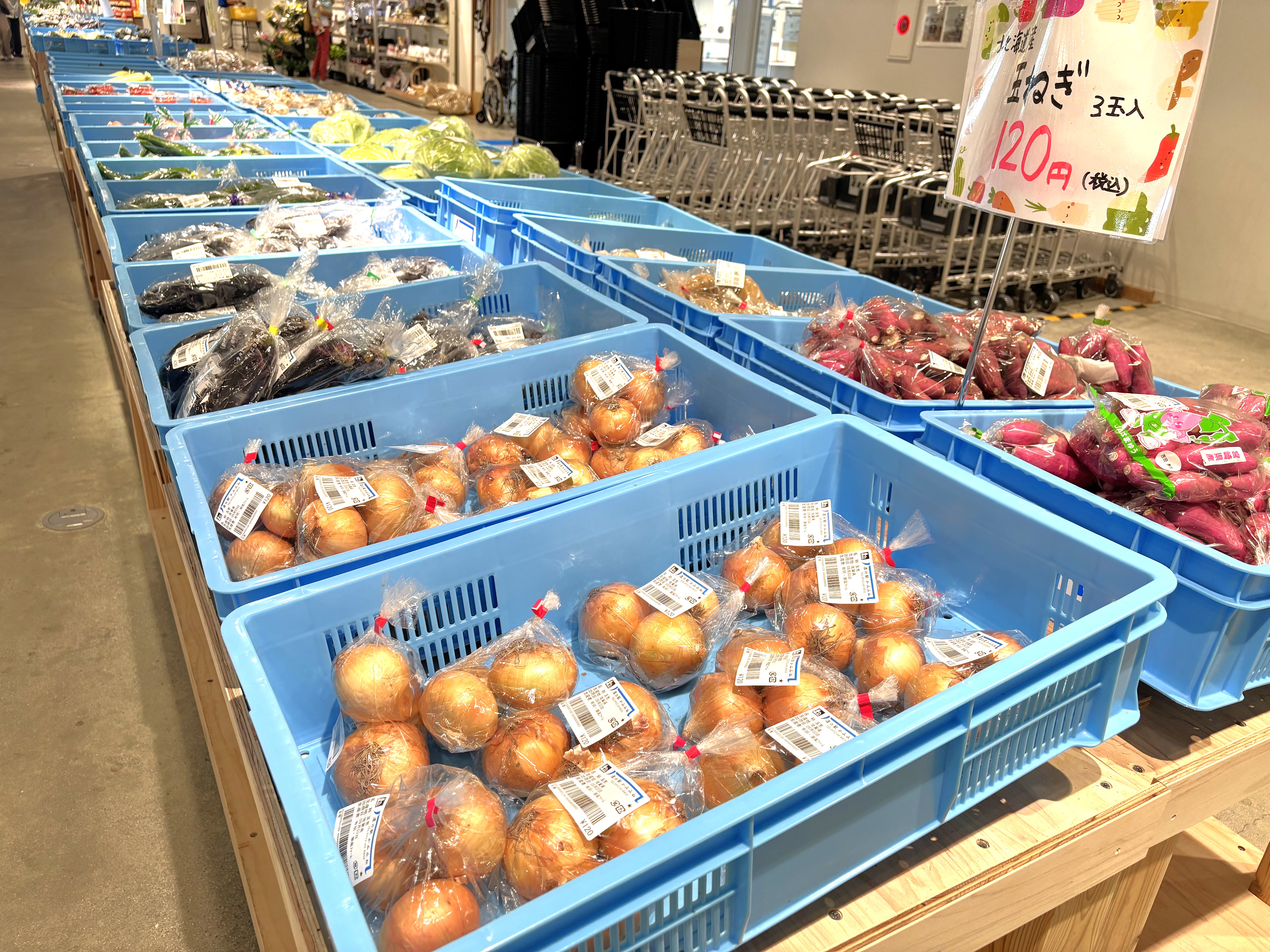 新鮮な野菜や果物がそろってます！